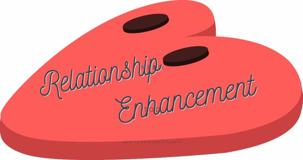Relationship Enhancement